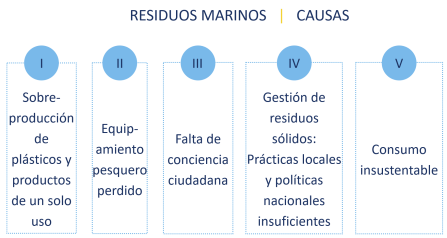 RESIDUOS MARINOS   |   CAUSAS