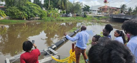 MFA Capacity Building