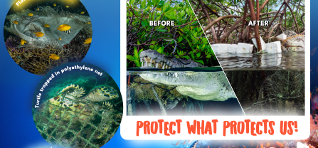 PROMAR Poster