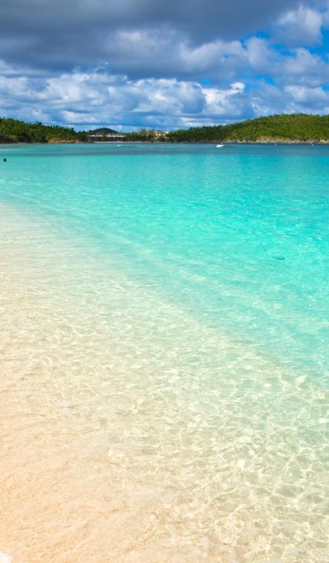 Sea