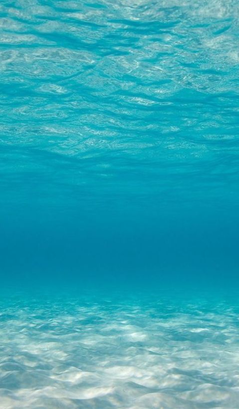 Sea