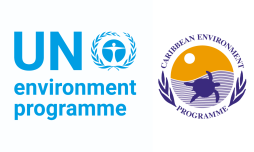 UNEP CCS Logo