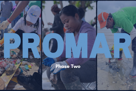 PROMAR Phase II