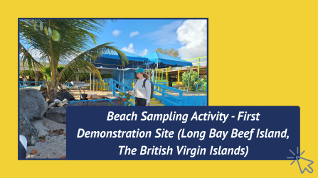 Beach Sampling Activity No. 1- BVI