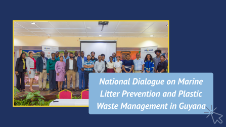 National Dialogue on Marine Litter Prevention and Plastic Waste Management in Guyana 