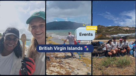 BVI Banner2- Final