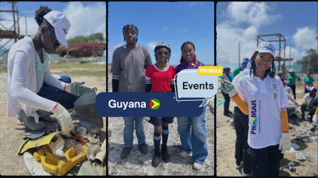 Guyana Banner- Final