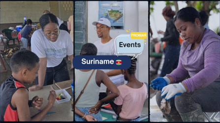 Website Graphics- Suriname's Photo Banner