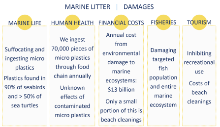 Damaging effects of marine litter