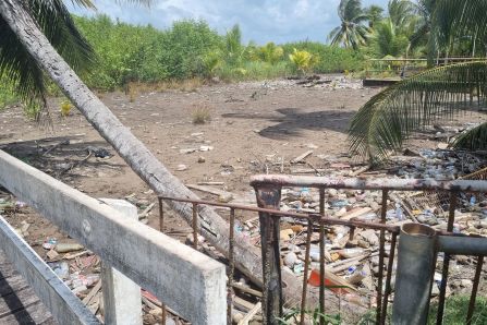Baseline Clean-up and Sampling at the Demonstration Site 2- Leonsberg Jetty, Suriname 