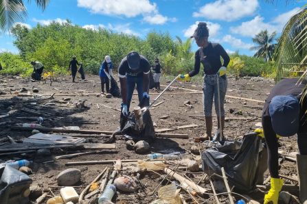 Baseline Clean-up and Sampling at the Demonstration Site 2- Leonsberg Jetty, Suriname 