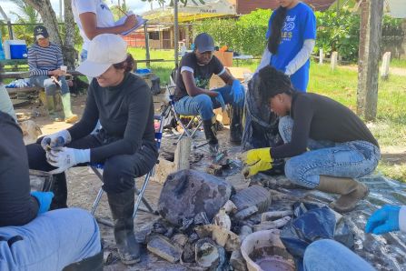 Baseline Clean-up and Sampling at the Demonstration Site 2- Leonsberg Jetty, Suriname 