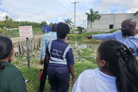 MFA Capacity Building