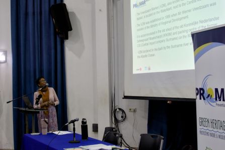 Project Update Meeting- Suriname