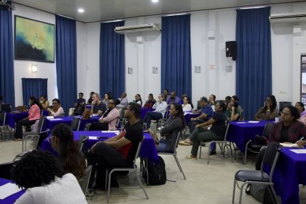 Project Update Meeting- Suriname