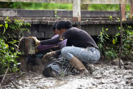 Baseline Clean-up and Sampling at the Demonstration Site 2- Leonsberg Jetty, Suriname 