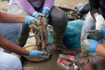 Baseline Clean-up and Sampling at the Demonstration Site 2- Leonsberg Jetty, Suriname 
