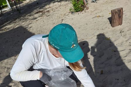 Beach Sampling#1