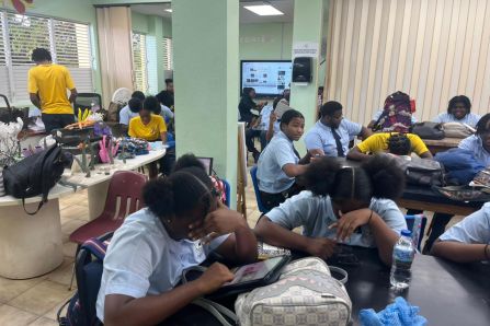 First Phase of the Knowledge, Attitude, and Practices (KAP) Survey Complete- British Virgin Islands 