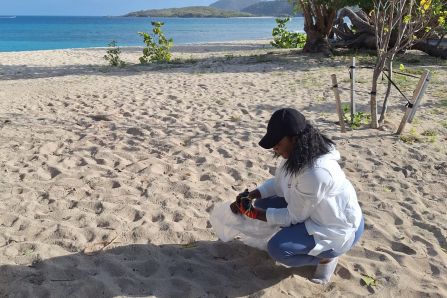 Beach Sampling#1