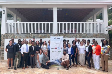 EPR Workshop- BVI