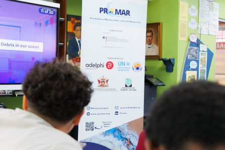 PROMAR