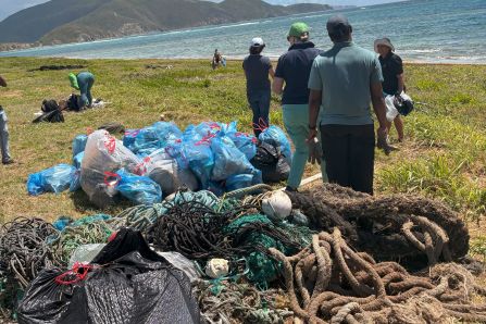 Clean-up- Taddy Bay Airport, BVI