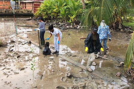 Baseline Clean-up and Sampling at the Demonstration Site 2- Leonsberg Jetty, Suriname 