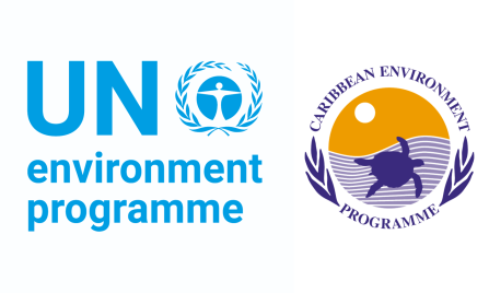 UNEP CCS Logo